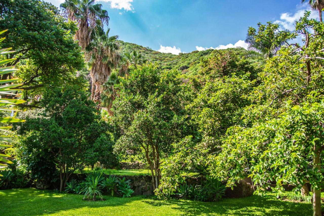 Casa Galeana- Tropical 1-Bd 1-Wc Mountain Top Luxury Suite With Stunning Views Ajijic Exterior foto