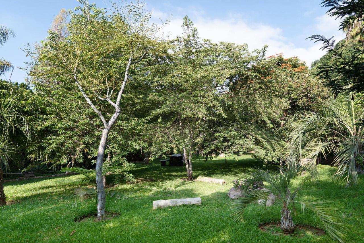 Casa Galeana- Tropical 1-Bd 1-Wc Mountain Top Luxury Suite With Stunning Views Ajijic Exterior foto